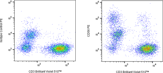 Rabbit-anti NCAM1 monoclonal antibody