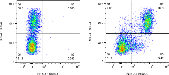 Rabbit-anti PD-1 monoclonal antibody