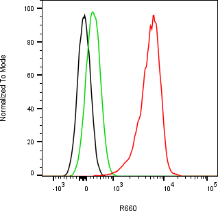 Rabbit-anti DKK1 monoclonal antibody