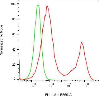 Rabbit-anti LYG1 monoclonal antibody