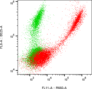 Rabbit-anti LYG1 monoclonal antibody