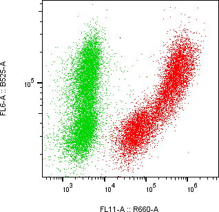 Rabbit-anti PLAU monoclonal antibody