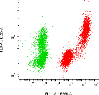 Rabbit-anti MPZ monoclonal antibody