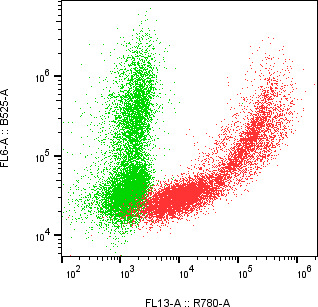Rabbit-anti VCAM1 monoclonal antibody