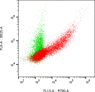 Rabbit-anti KIR2DL1 monoclonal antibody