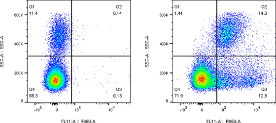 Rabbit-anti TREML2 monoclonal antibody