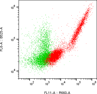 Rabbit-anti CD300LB monoclonal antibody