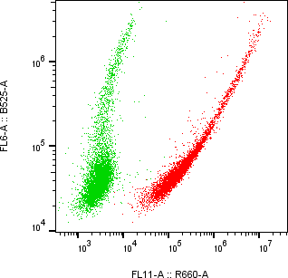 Rabbit-anti RAET1E monoclonal antibody