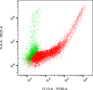 Rabbit-anti CD1D monoclonal antibody