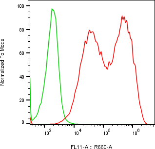 Rabbit-anti HEPACAM monoclonal antibody