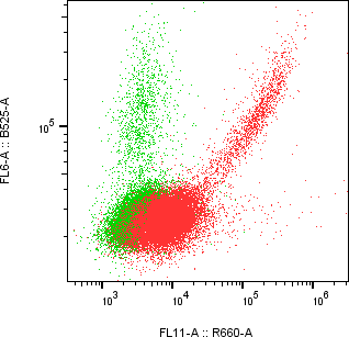 Rabbit-anti CDH3 monoclonal antibody