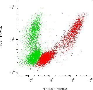 Rabbit-anti KLK7 monoclonal antibody