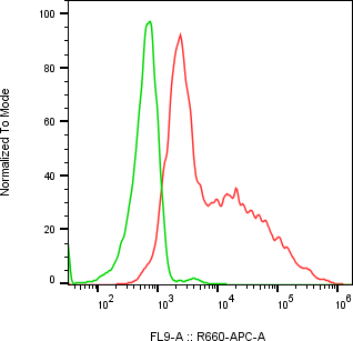 Rabbit-anti NCR2 monoclonal antibody