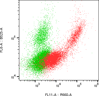 Rabbit-anti JAM2 monoclonal antibody