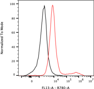 Rabbit-anti KIRREL1 monoclonal antibody