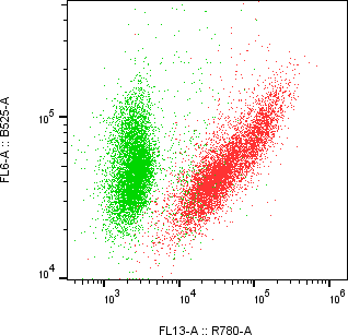 Rabbit-anti CXCL2 monoclonal antibody
