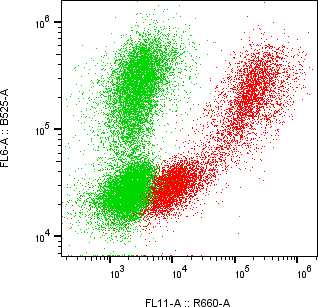 Rabbit-anti TPP1 monoclonal antibody