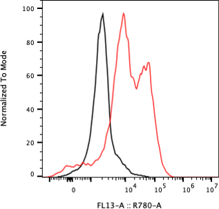 Rabbit-anti NTF4 monoclonal antibody
