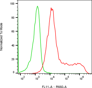 Rabbit-anti CEACAM7 monoclonal antibody