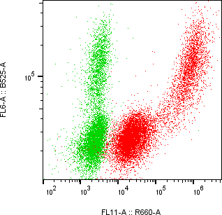 Rabbit-anti MSMB monoclonal antibody