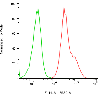 Rabbit-anti MFAP3 monoclonal antibody