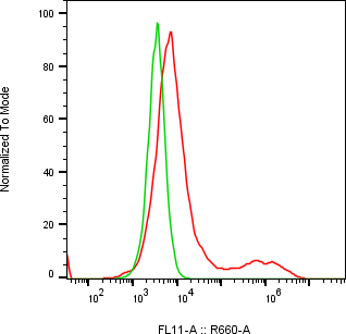 Rabbit-anti TIMD4 monoclonal antibody