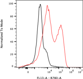 Rabbit-anti IL13 monoclonal antibody