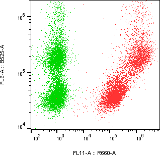 Rabbit-anti CD200 monoclonal antibody