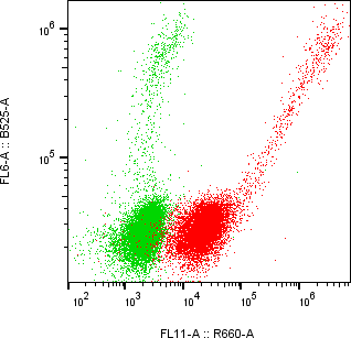 Rabbit-anti SHISAL1 monoclonal antibody
