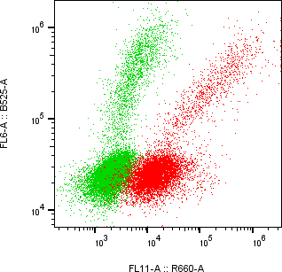 Rabbit-anti PDPN monoclonal antibody