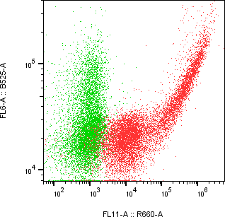 Rabbit-anti CDH17 monoclonal antibody