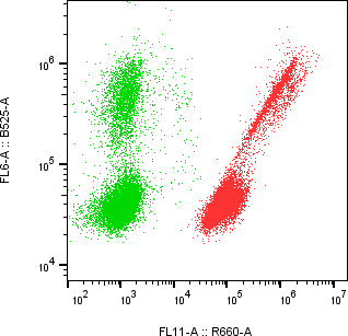 Rabbit-anti PVRL2 monoclonal antibody