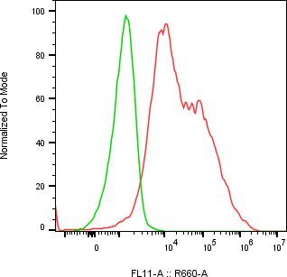Rabbit-anti VTN monoclonal antibody
