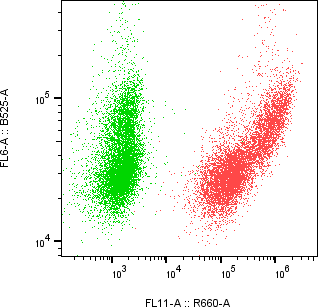 Rabbit-anti SMOC1 monoclonal antibody