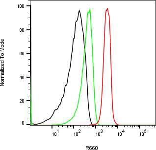 Rabbit-anti REG3A monoclonal antibody