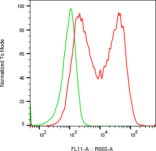 Rabbit-anti HEPACAM monoclonal antibody