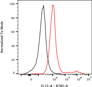 Rabbit-anti KIRREL1 monoclonal antibody