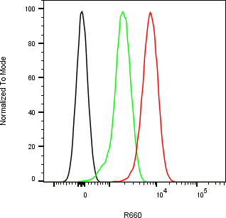 Rabbit-anti RAET1E monoclonal antibody