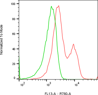 Rabbit-anti NRP1 monoclonal antibody