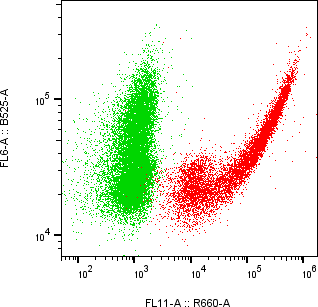 Rabbit-anti MATN4 monoclonal antibody