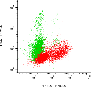 Rabbit-anti CNTF monoclonal antibody