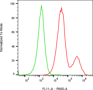 Rabbit-anti CEACAM6 monoclonal antibody