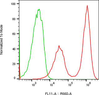 Rabbit-anti CBLN4 monoclonal antibody