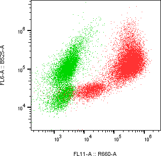 Rabbit-anti FOLR3 monoclonal antibody