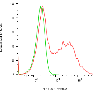 Rabbit-anti AFM monoclonal antibody