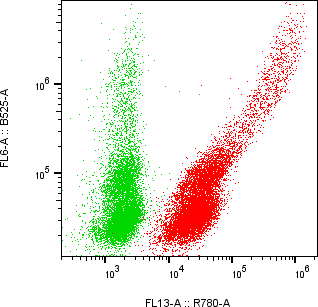 Rabbit-anti ITGB1 monoclonal antibody
