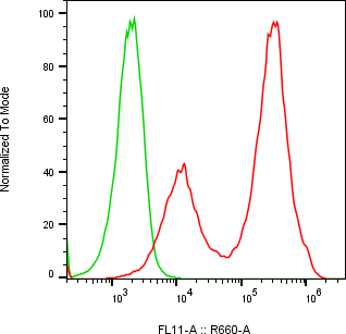 Rabbit-anti CBLN4 monoclonal antibody