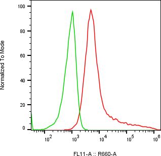 Rabbit-anti PODXL monoclonal antibody