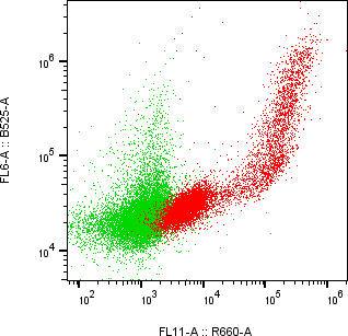 Rabbit-anti CEACAM7 monoclonal antibody