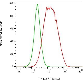 Rabbit-anti ITGB5 monoclonal antibody